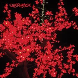Moment / Violet Violence von Shepherds – Cover