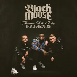 Tänker på mig von Einár – Cover