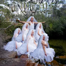 Titles With the Word Fountain von Liars – Album Cover