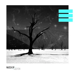 Nazca Space Fox von Nazca Space Fox – Album Cover
