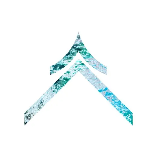 D.V.S.R. von DVSR – Album Cover