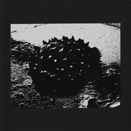Precincts von Bearer – Album Cover