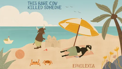 This Rare Cow Killed Someone