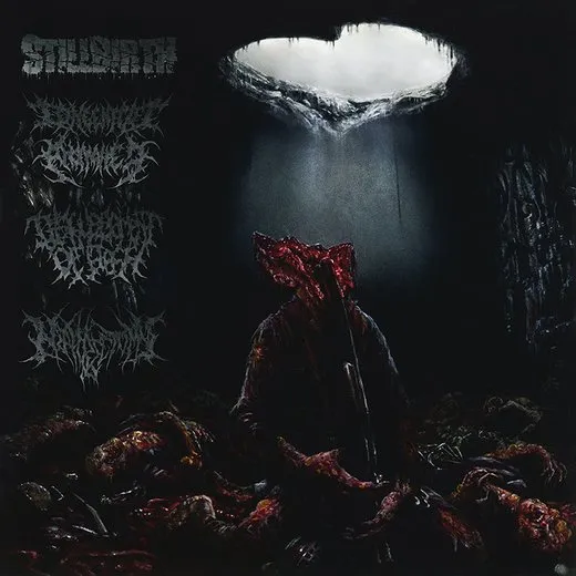 Pathology of Anomalous Origin