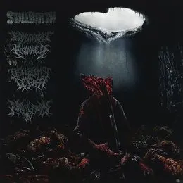 Pathology of Anomalous Origin von Nephrectomy – Album Cover