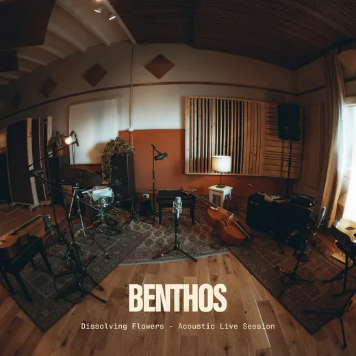 Dissolving Flowers (acoustic live session)