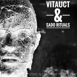 Steel Is Stronger Than Flesh von Vitauct – Album Cover