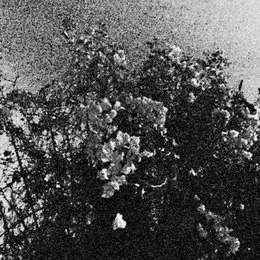 Edënohhdlha hálgra tu majtranlh’ha / Ga nëcëcta mon idlhi von Celestial Sword – Album Cover