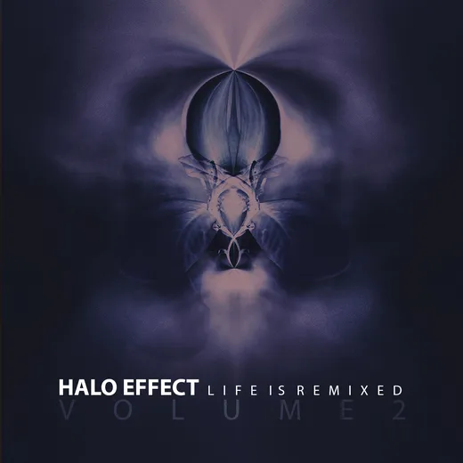 Life Is Remixed (Volume 2)