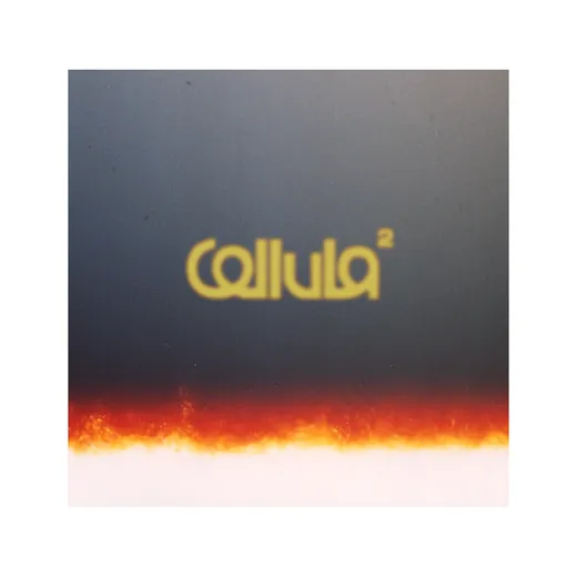 Cellula 2