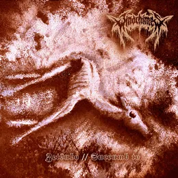 Succumb to von Windchimes – Cover