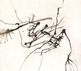 잠비나이 von 잠비나이 – Cover