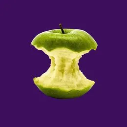 You Ain’t Coming Back von Zeal & Ardor – Album Cover