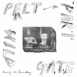 Hung on Sunday von Gate – Album Cover