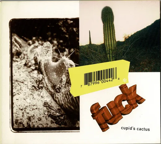 Cupid’s Cactus