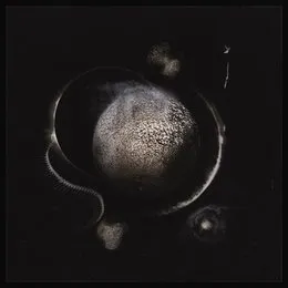 Vapula Omega von Enthroned – Cover