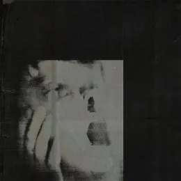 Never Exhale von DITZ – Album Cover