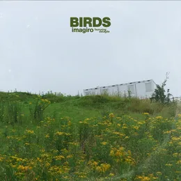 Birds von imagiro – Album Cover