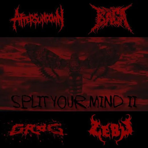Split Your Mind II