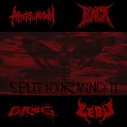 Split Your Mind II von Grog – Album Cover
