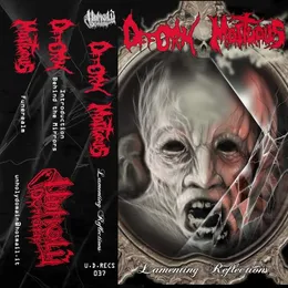 Lamenting Reflections von Mortuous – Cover
