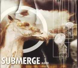 Album von Submerge – Cover