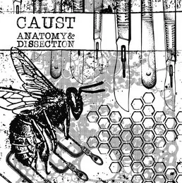 Anatomy & Dissection von Caust – Album Cover