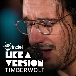 Talk is Cheap von Timberwolf – Cover