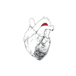 The Beggar von Swans – Album Cover