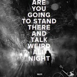 Are You Going to Stand There and Talk Weird All Night? von Valleys – Album Cover