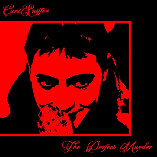 The Perfect Murder