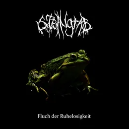 Fluch der Ruhelosigkeit von Steingrab – Album Cover