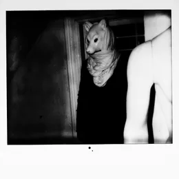 The Veins Were Licked by the Vulpine Garden von Uncertain – Cover