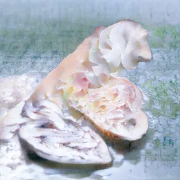 of Ambrosia von Frums – Cover