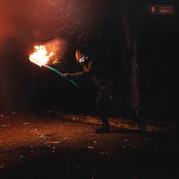 Stealing Fire von Virtual Riot – Album Cover