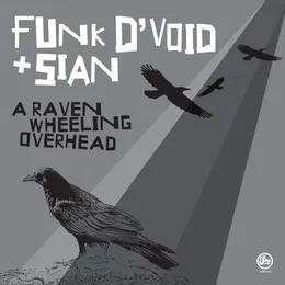 A Raven Wheeling Overhead von Funk D’Void – Album Cover