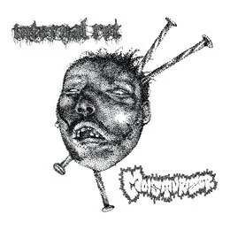 Moisturizer / Internal Rot von Internal Rot – Album Cover