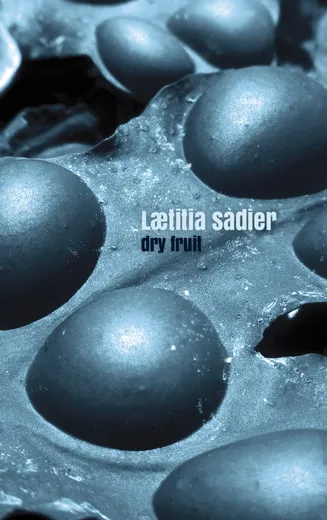 Dry Fruit