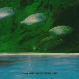 _stream von Notation – Cover