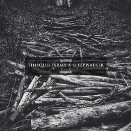 8493 von Sleepwalker – Album Cover