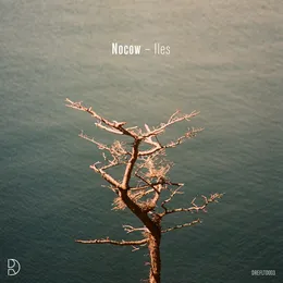 ILES von Nocow – Album Cover
