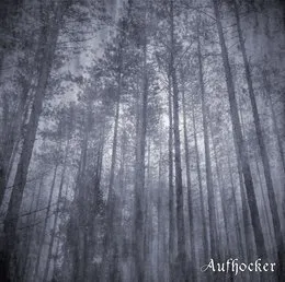 Forest of Disillusionment von Aufhocker – Album Cover