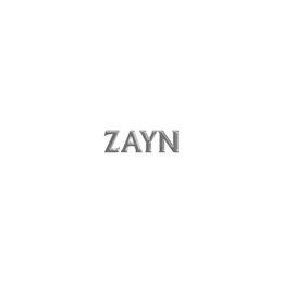 Rainberry von ZAYN – Cover