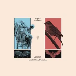 Faces of the Moving Year von Flesh Born – Album Cover