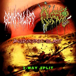 3-Way Split von GerbeЯ – Album Cover