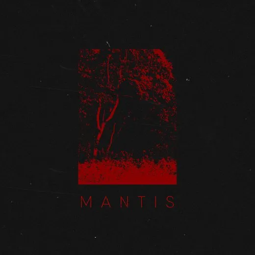 Mantis