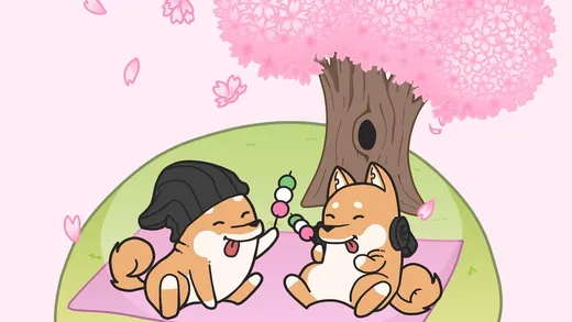 Cherry Blossoms