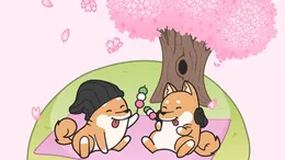 Cherry Blossoms von Hyper Potions – Cover