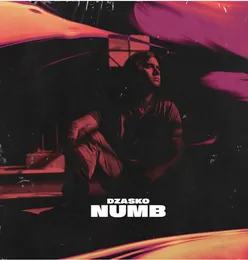 Numb von Dzasko – Album Cover