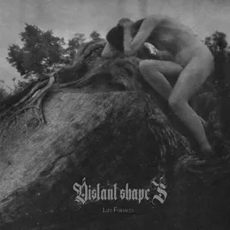 Life Forsaken von Distant Shapes – Album Cover